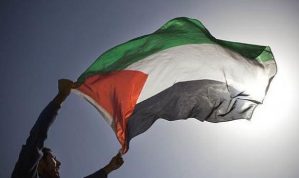 فلسطين تشارك في البطولة العربية للمصارعة في المغرب