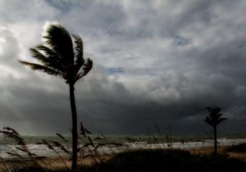 أول منخفض جوّي الى فلسطين خلال يومين