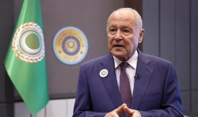 أحمد أبو الغيط يرحب بتكليف علي الزيدي لتشكيل الحكومة العراقية الجديدة