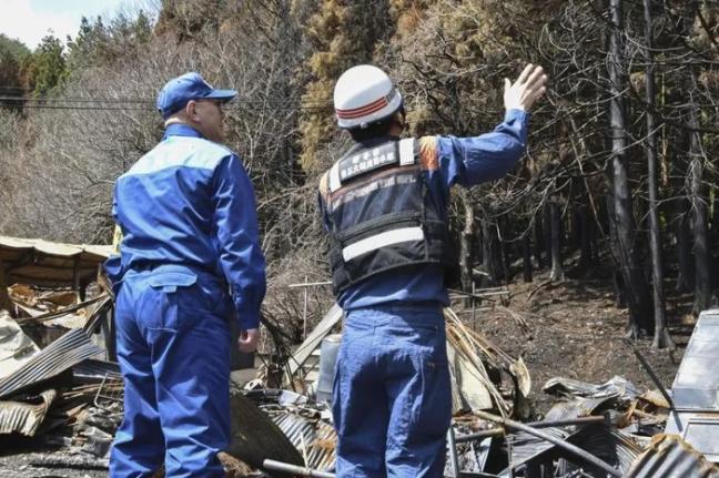 السيطرة على أحد أكبر حرائق الغابات في اليابان بعد 11 يومًا من اندلاعه