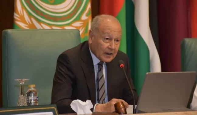 أحمد أبو الغيط: حرية الملاحة مصلحة عربية لا تقبل المساس