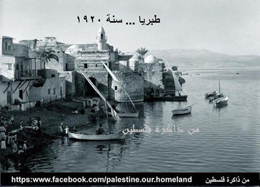 فلسطين.. الخسارة التي لا تقدر ولا تعوض