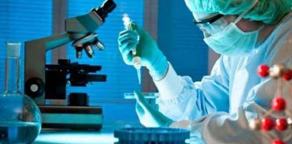 الخلايا الجذعية أمل جديد في علاج وباء الملاريا   المزيد على دنيا الوطن