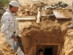 مجلة أمريكية يهودية: مصر قد تنشر تماسيح على حدود غزة