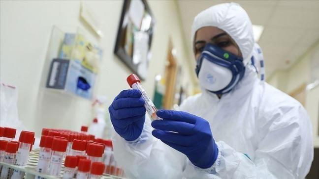 خلية الازمة بوزارة الصحة الفلسطينية بغزة: القطاع دخل في موجة خامسة من جائحة كوفيد 19