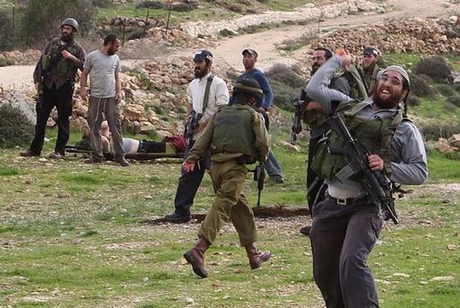 مستوطنون يستولون على عقار وأرض جنوب الاقصى
