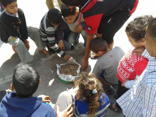 الاونروا توضح حقيقة وجود (فأر) في طعام النازحين في بيت حانون